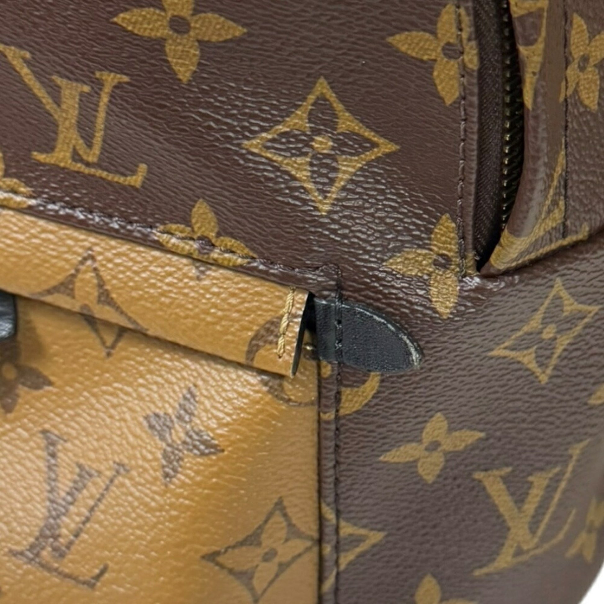 Louis Vuitton Palm Springs, Brown, Canvas, backpack