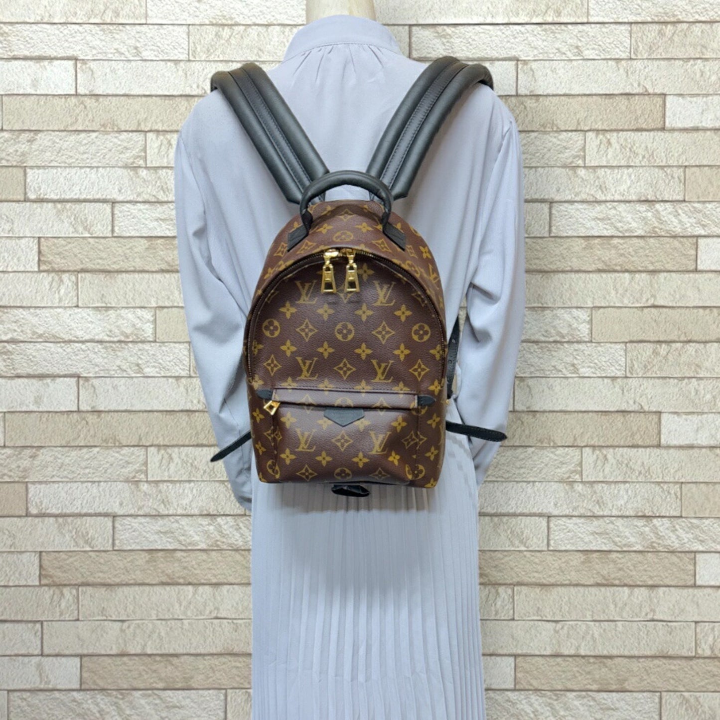 Louis Vuitton Palm Springs, Brown, Canvas, backpack