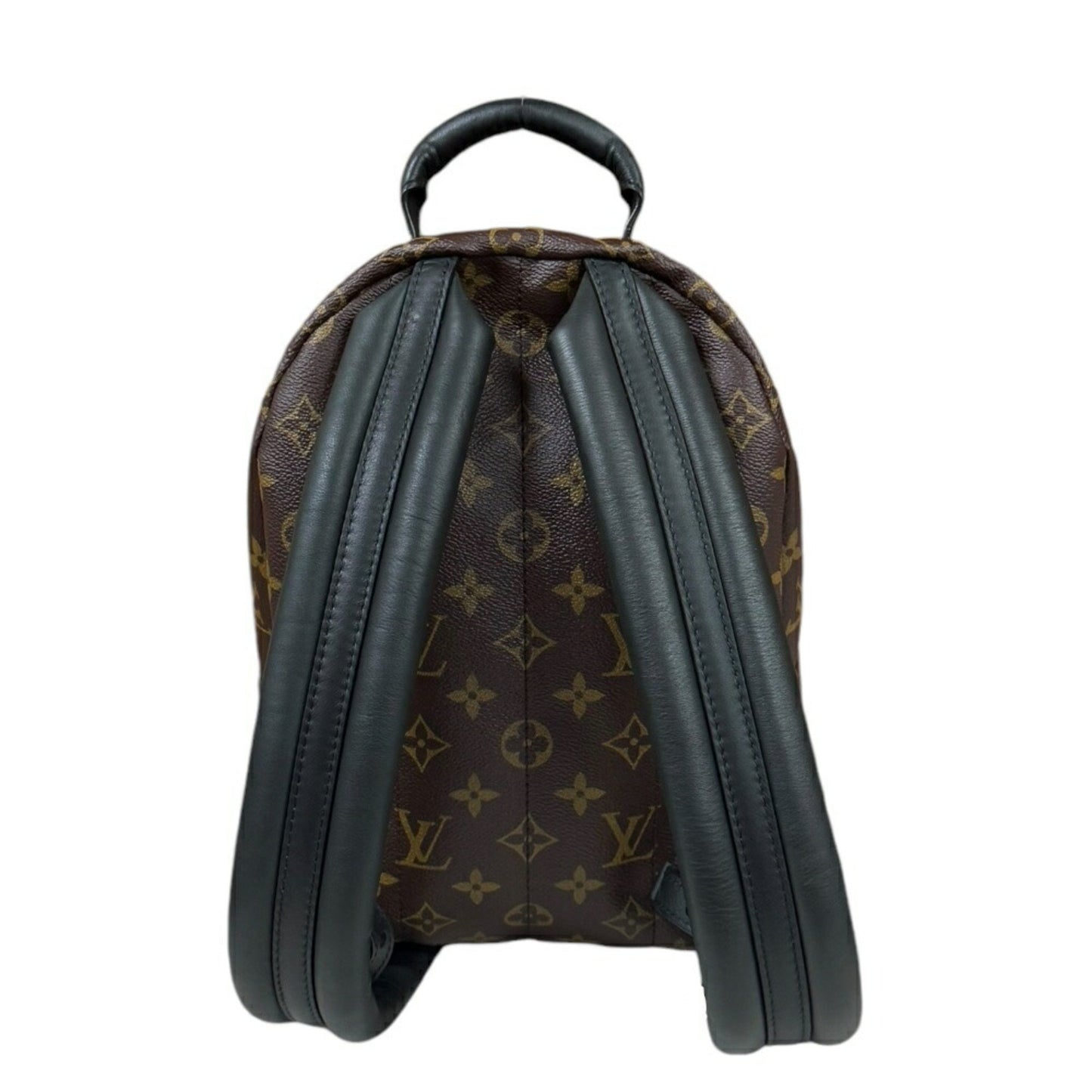 Louis Vuitton Palm Springs, Brown, Canvas, backpack