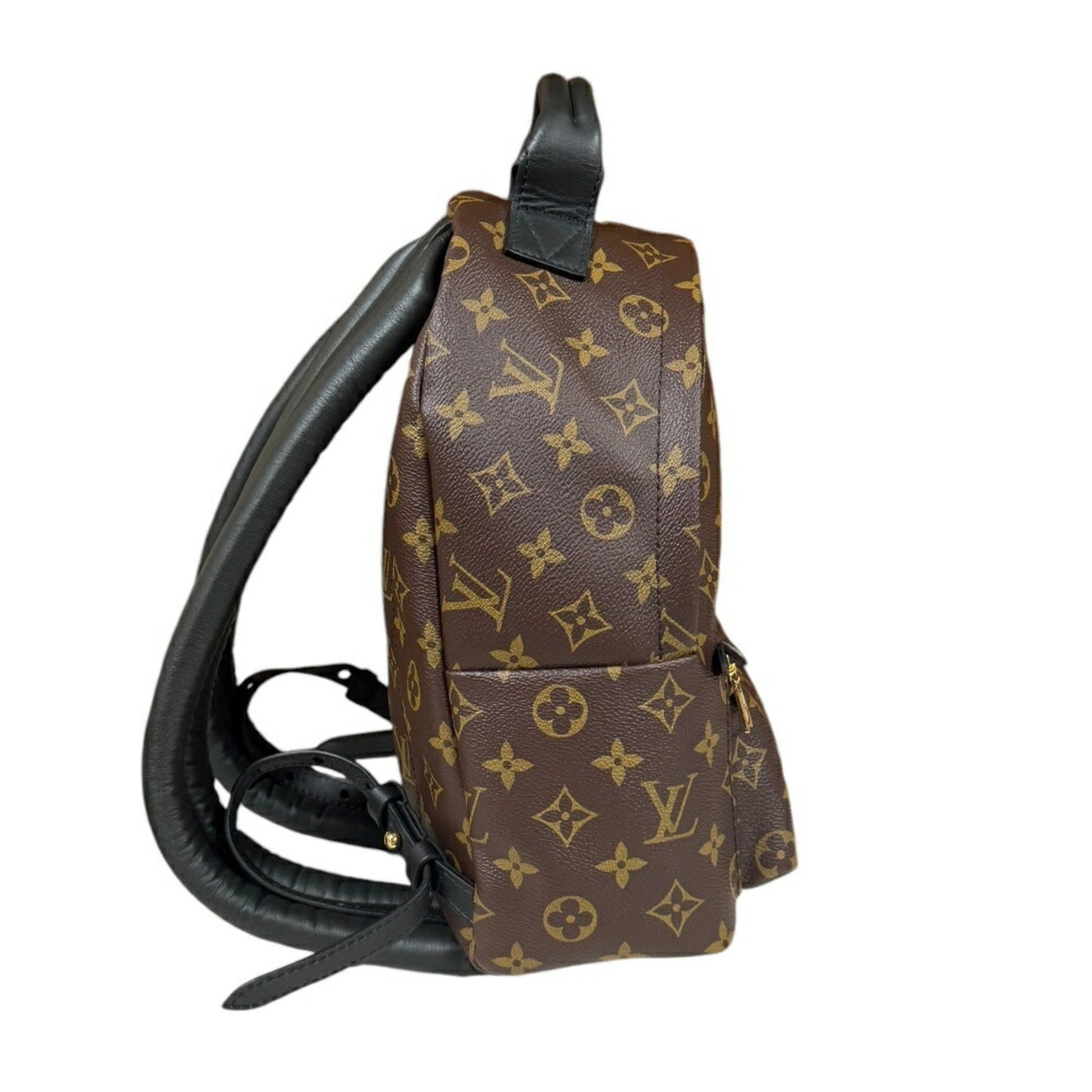 Louis Vuitton Palm Springs, Brown, Canvas, backpack