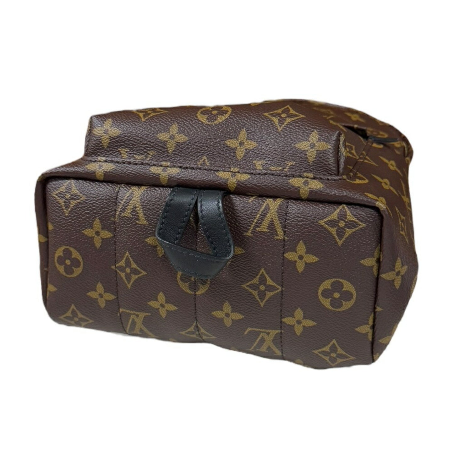 Louis Vuitton Palm Springs, Brown, Canvas, backpack