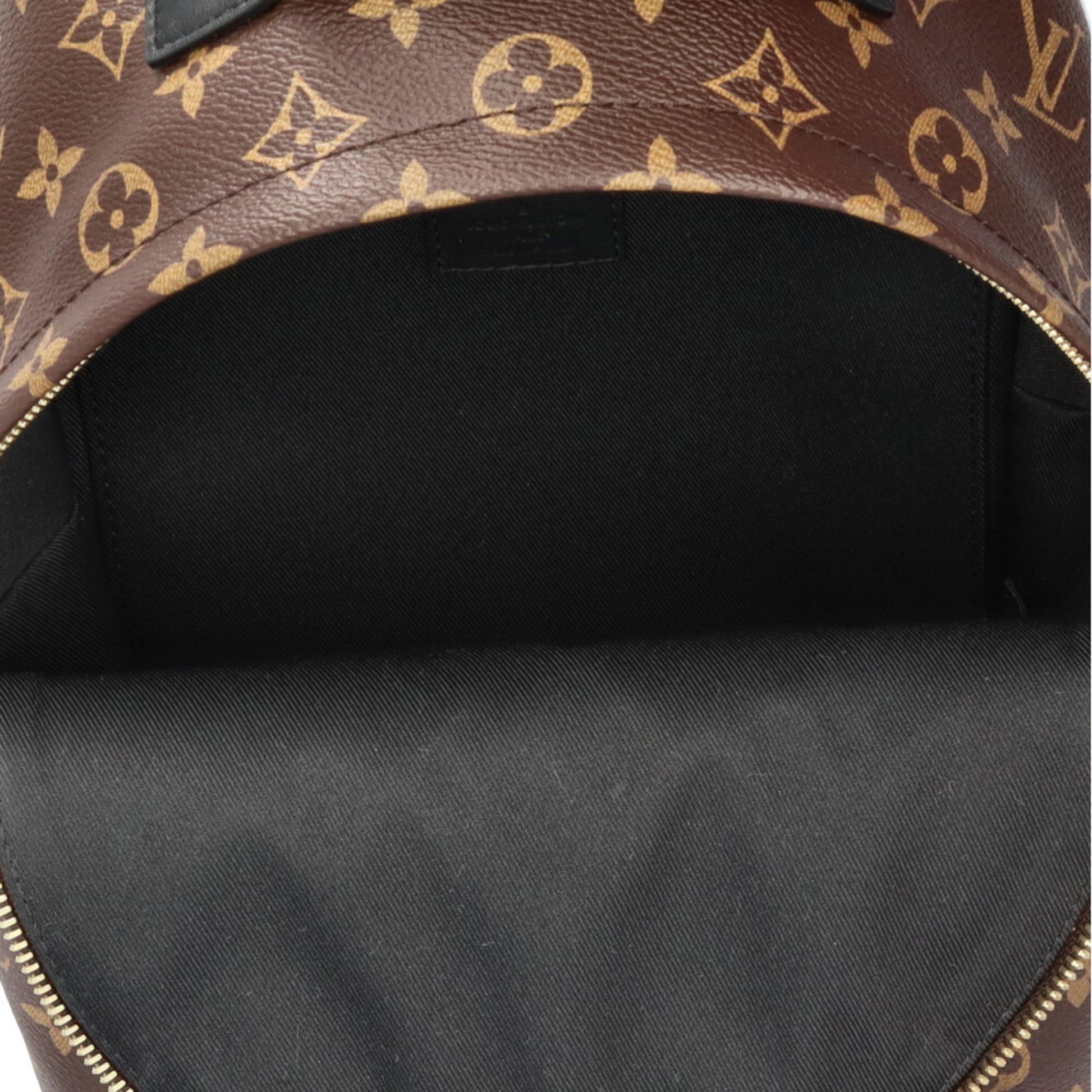 Louis Vuitton Palm Springs, Brown, Canvas, backpack