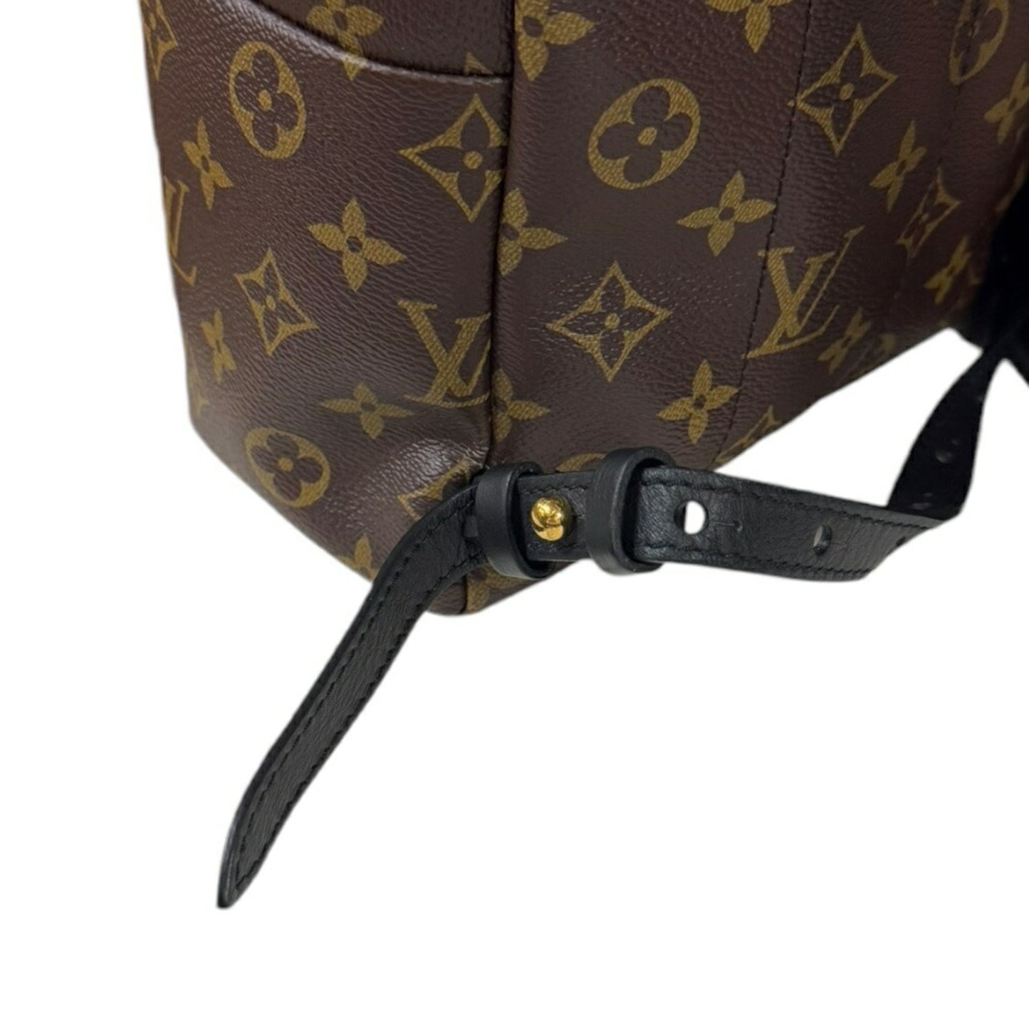 Louis Vuitton Palm Springs, Brown, Canvas, backpack