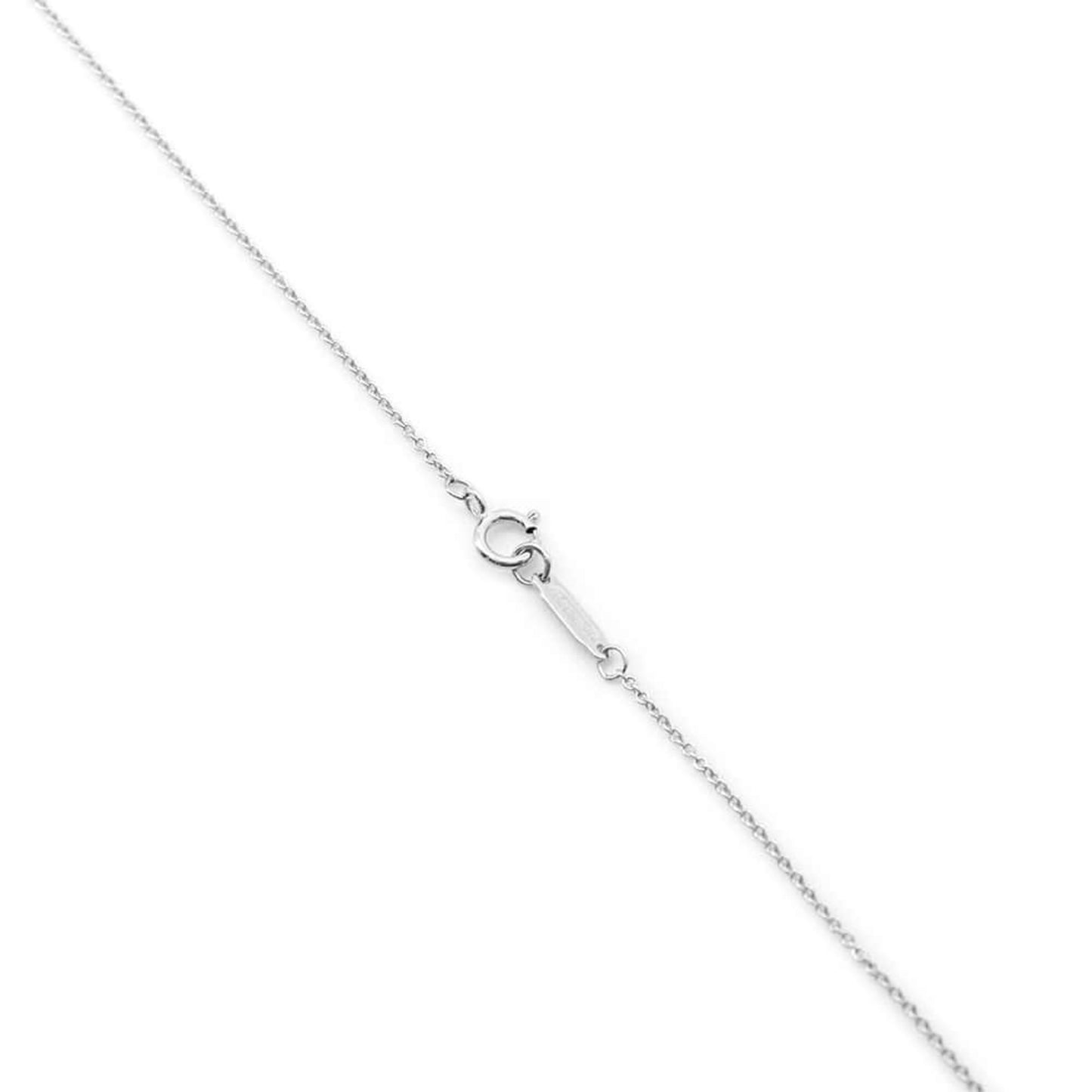 Tiffany & Co Garden flower, Silver, Platinum, necklace