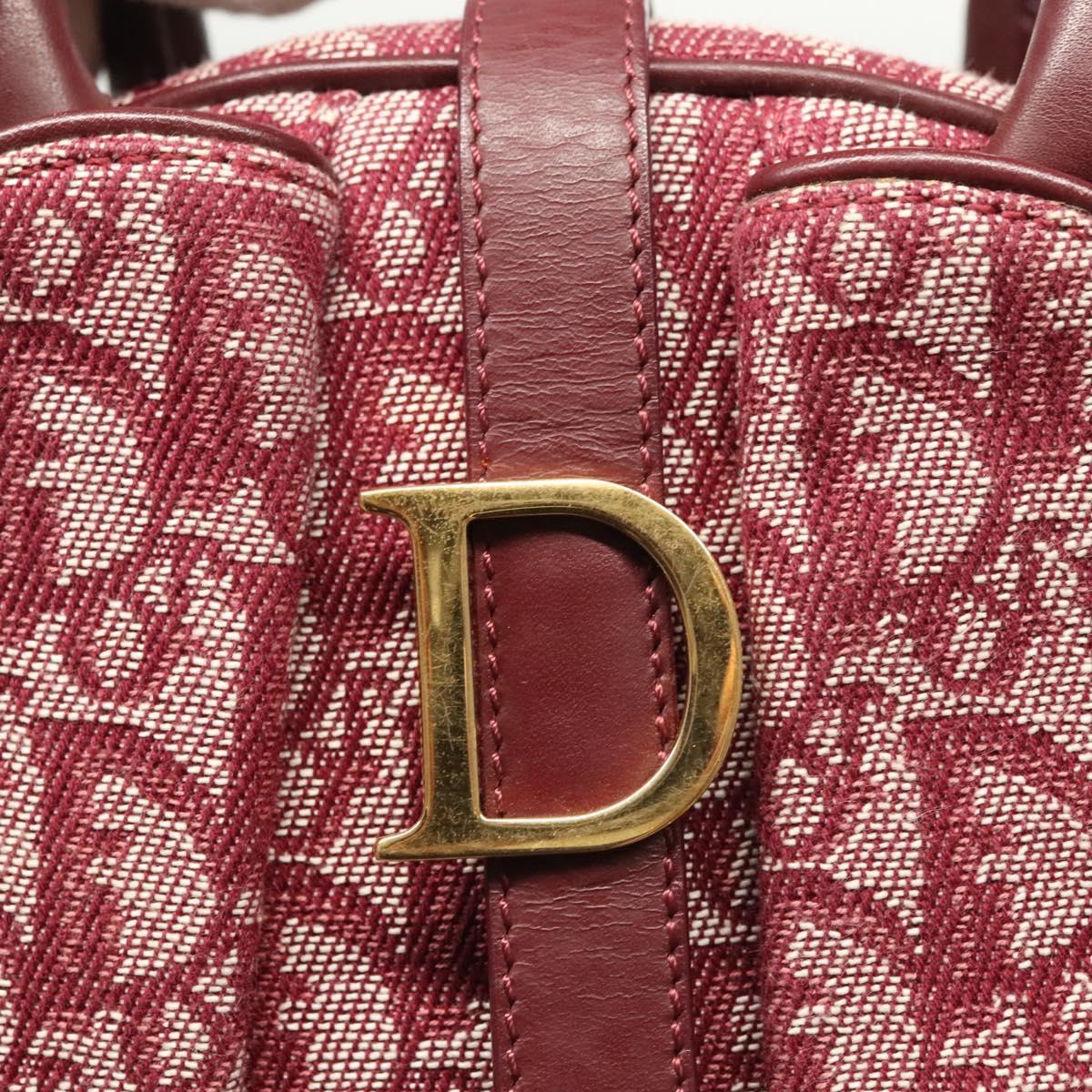 Dior Double Saddle, Red, Canvas, handbag