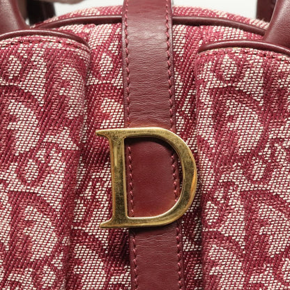 Dior Double Saddle, Red, Canvas, handbag