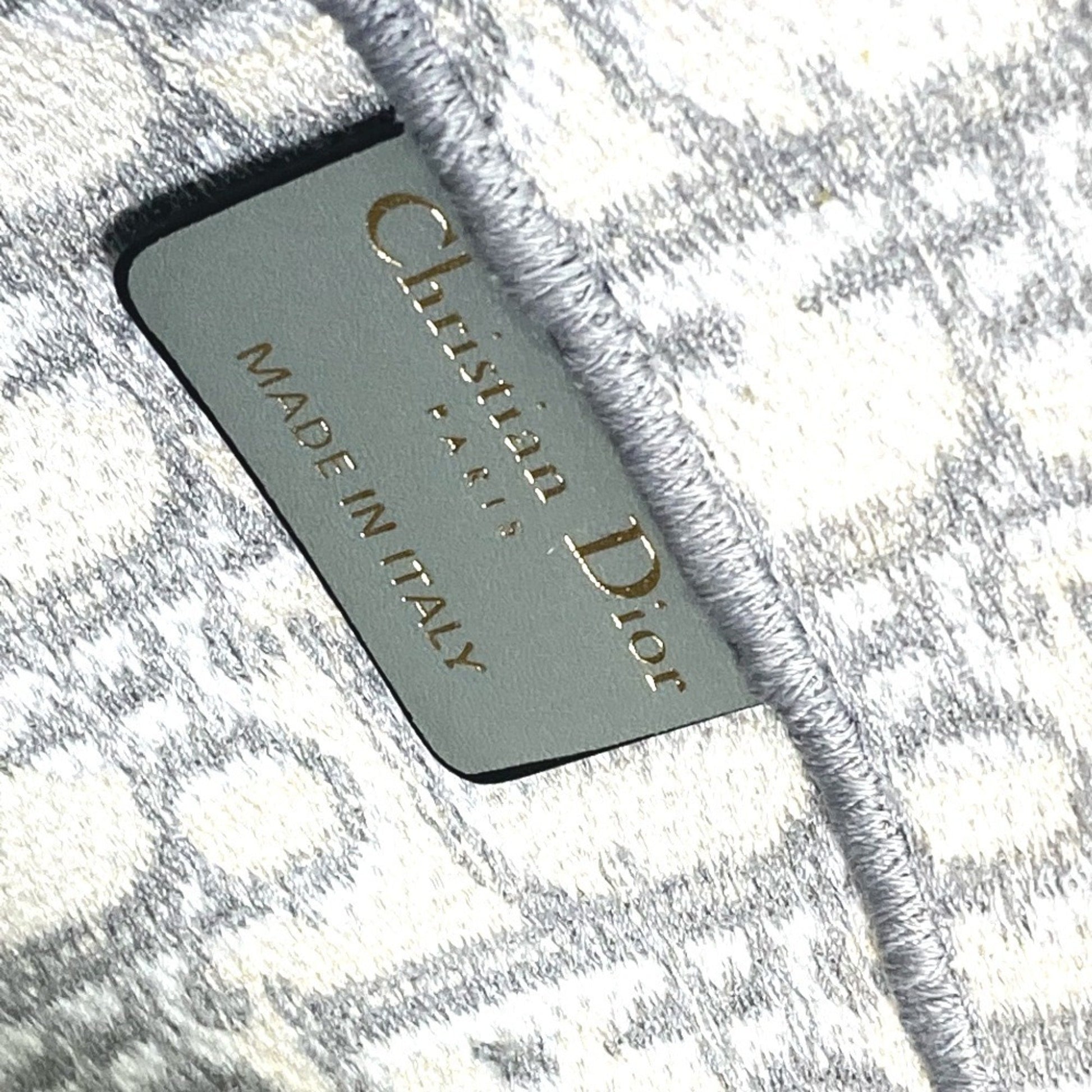 Dior Saddle Dior Oblique, Grey, Canvas, shoulder