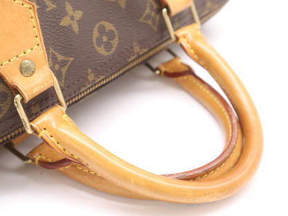 Louis Vuitton Speedy Handbag Monogram Canvas, BROWN, CANVAS, Handbag