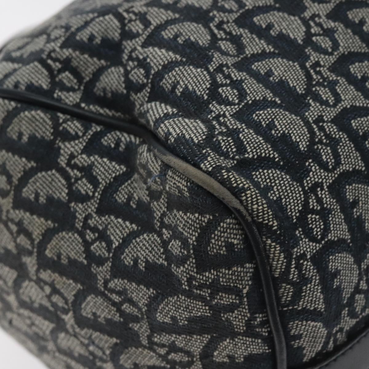 Dior Trotter, Navy, Canvas, travel