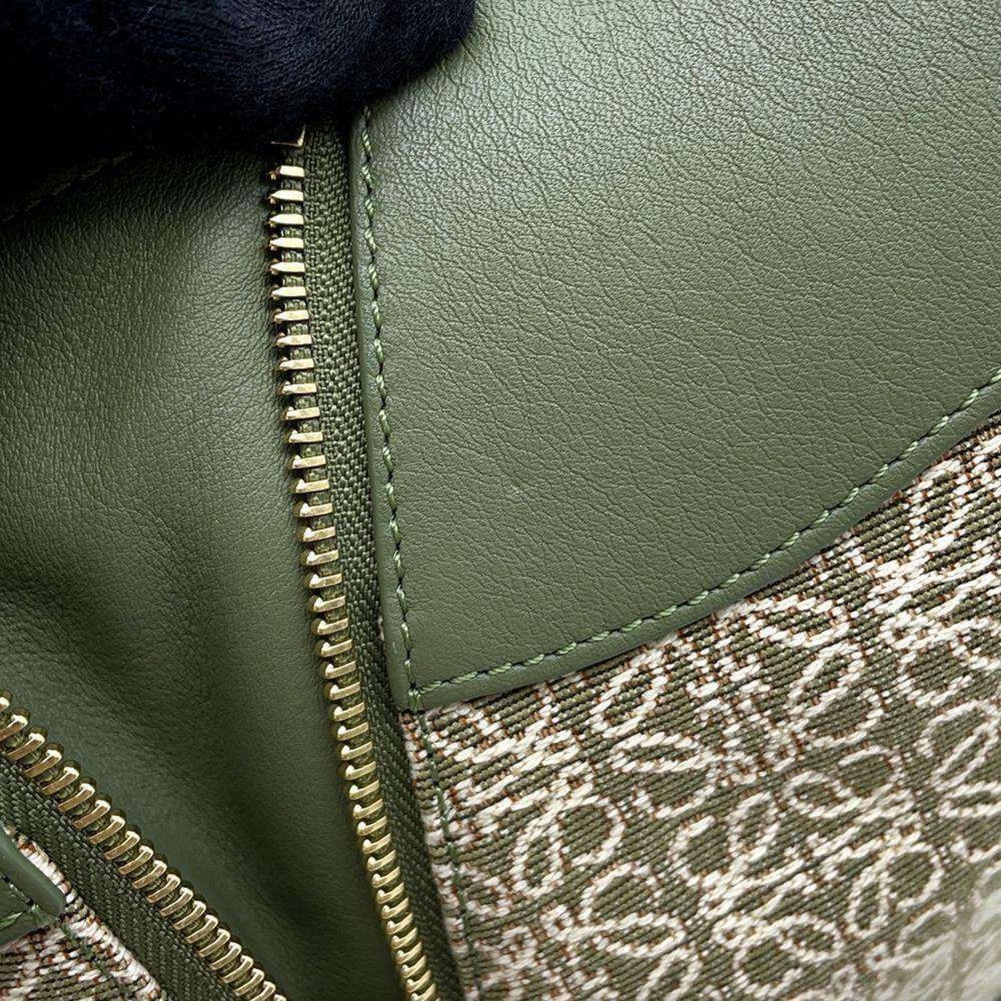 Loewe Hammock, Green, Canvas, shoulder