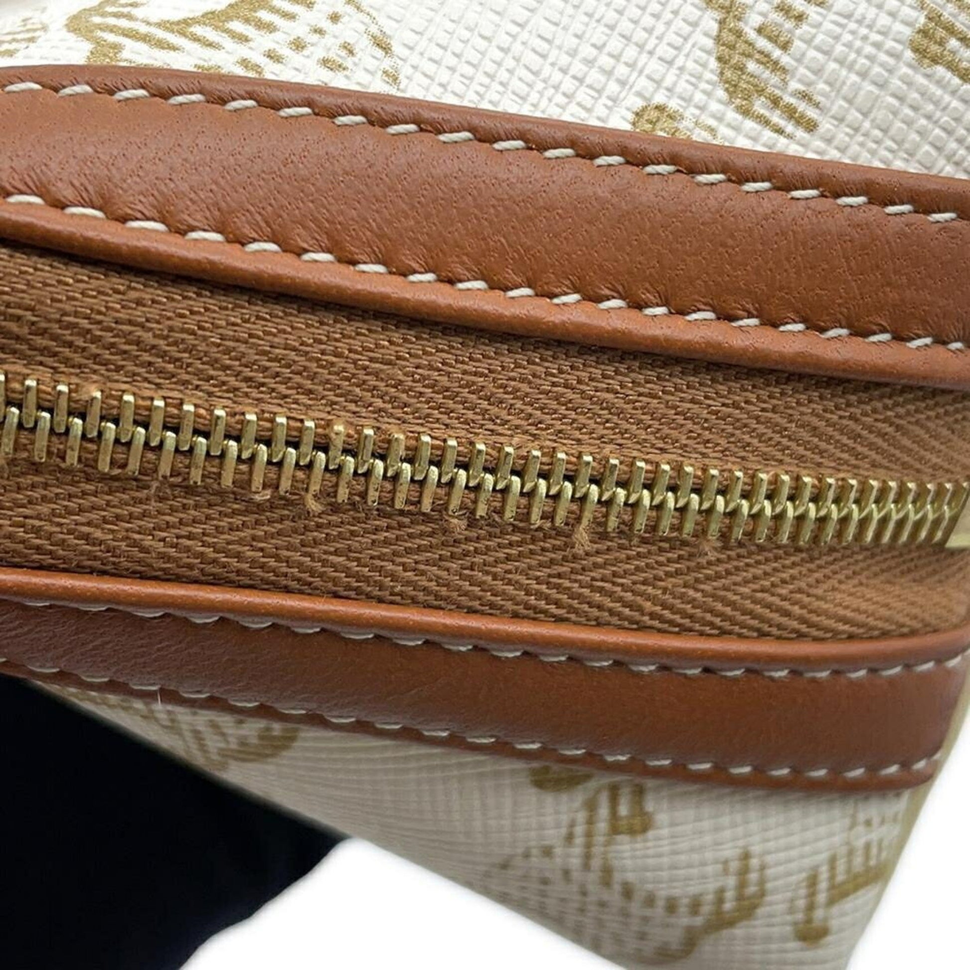 Céline Triomphe, Brown, Canvas, clutch