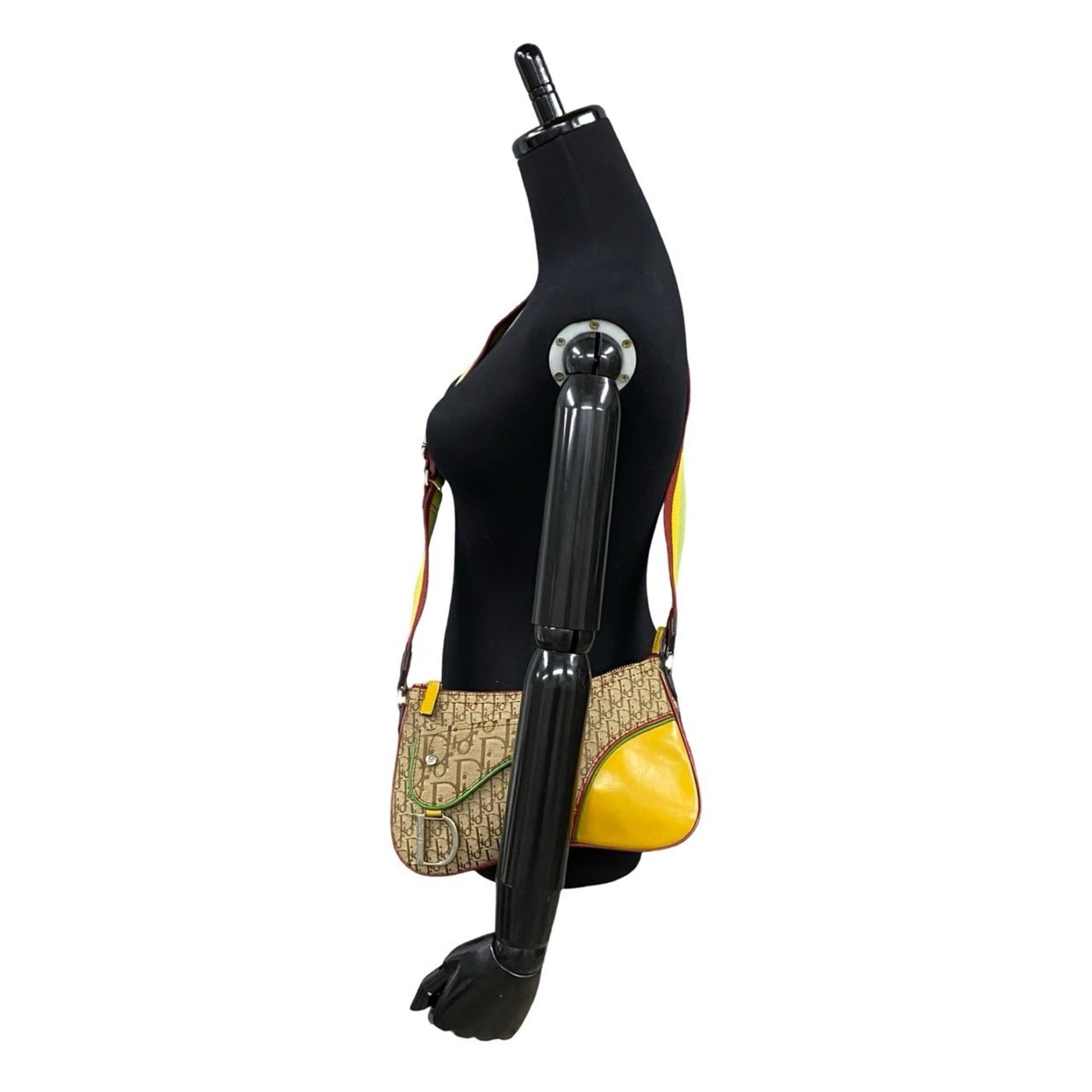Dior Saddle, Beige, "CANVAS, LEATHER", shoulder