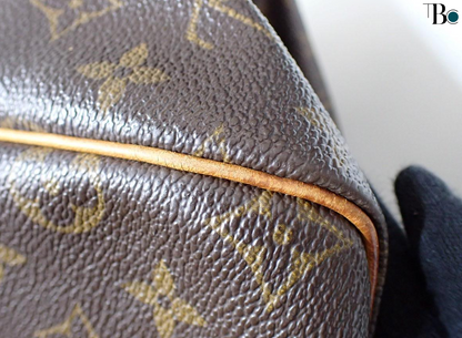 Louis Vuitton Speedy Handbag Monogram Canvas, BROWN, CANVAS, Handbag