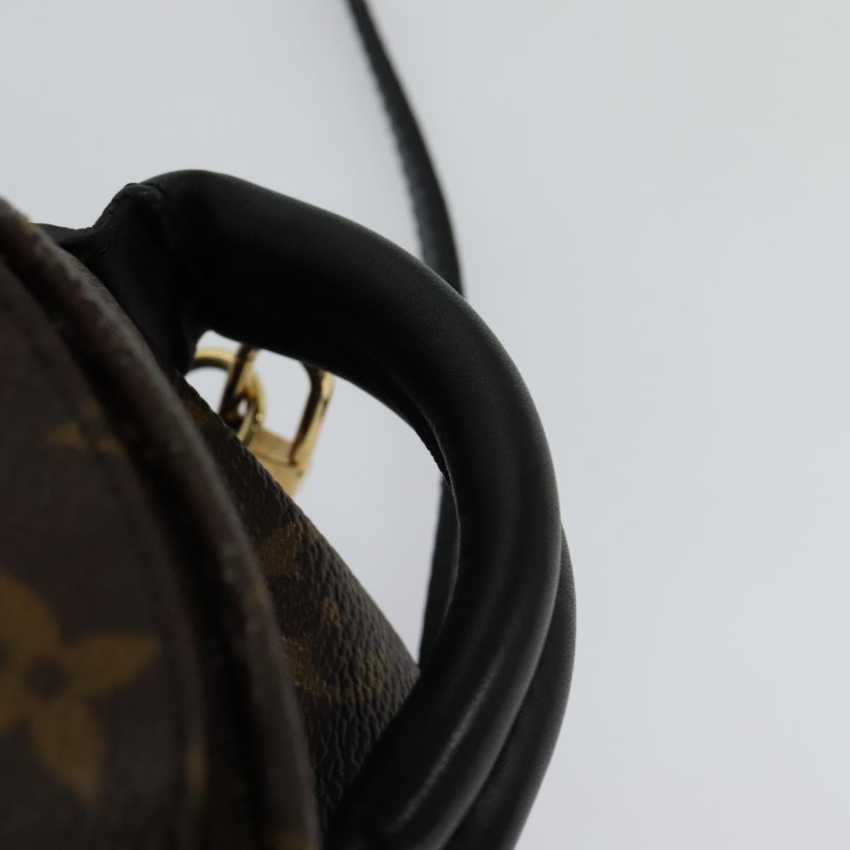Louis Vuitton Palm Springs Monogram Canvas, Brown, Canvas, Backpack