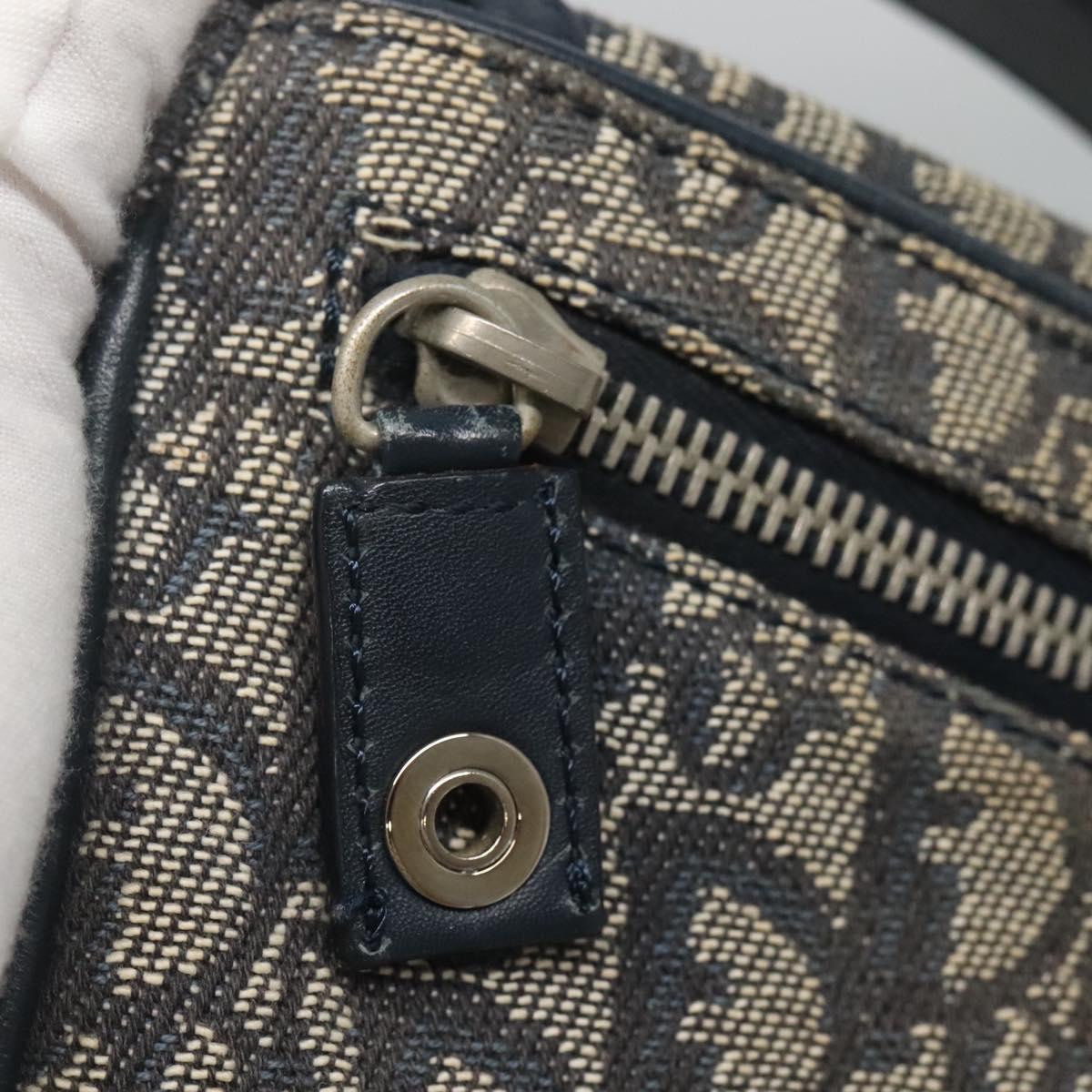 Dior Saddle, Navy, Canvas, shoulder