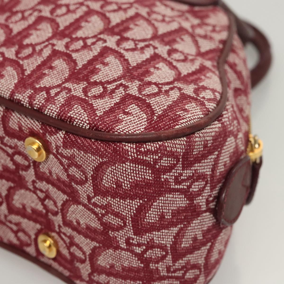 Dior Double Saddle, Red, Canvas, handbag