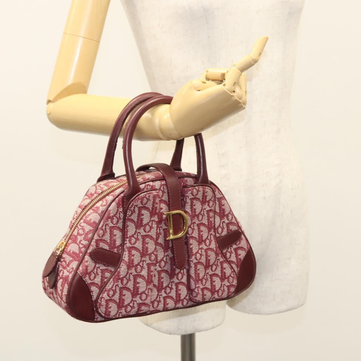 Dior Double Saddle, Red, Canvas, handbag