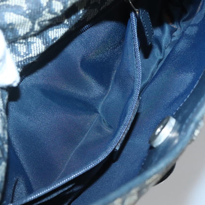 Dior Saddle, Navy, Canvas, shoulder