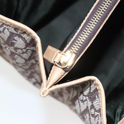 Dior Trotter, Brown, Canvas, handbag