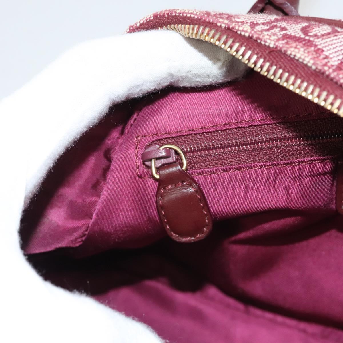Dior Double Saddle, Red, Canvas, handbag
