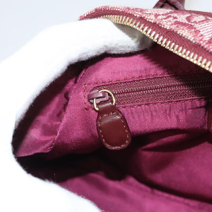 Dior Double Saddle, Red, Canvas, handbag