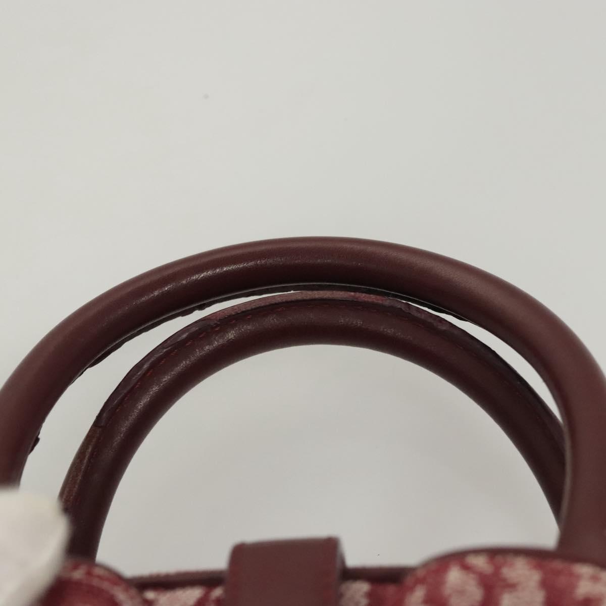 Dior Double Saddle, Red, Canvas, handbag