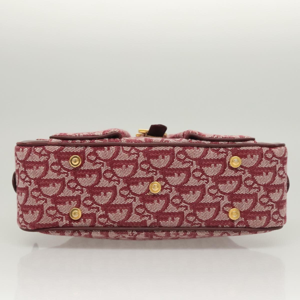 Dior Double Saddle, Red, Canvas, handbag
