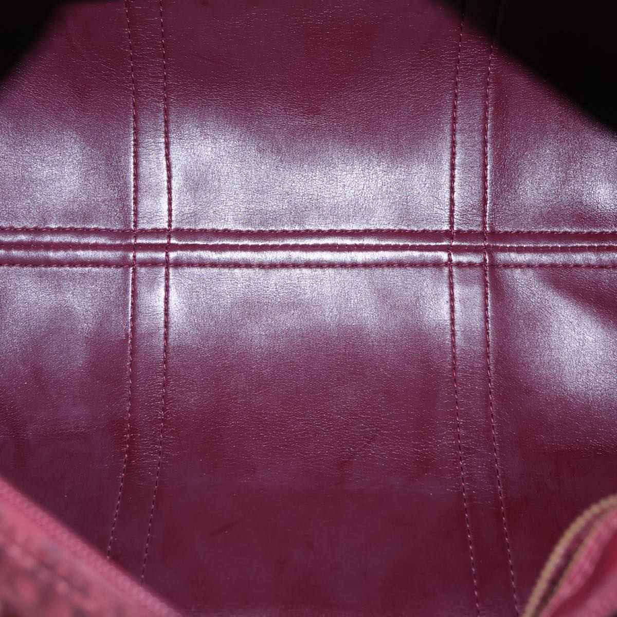Dior Trotter, Burgundy, Canvas, travel