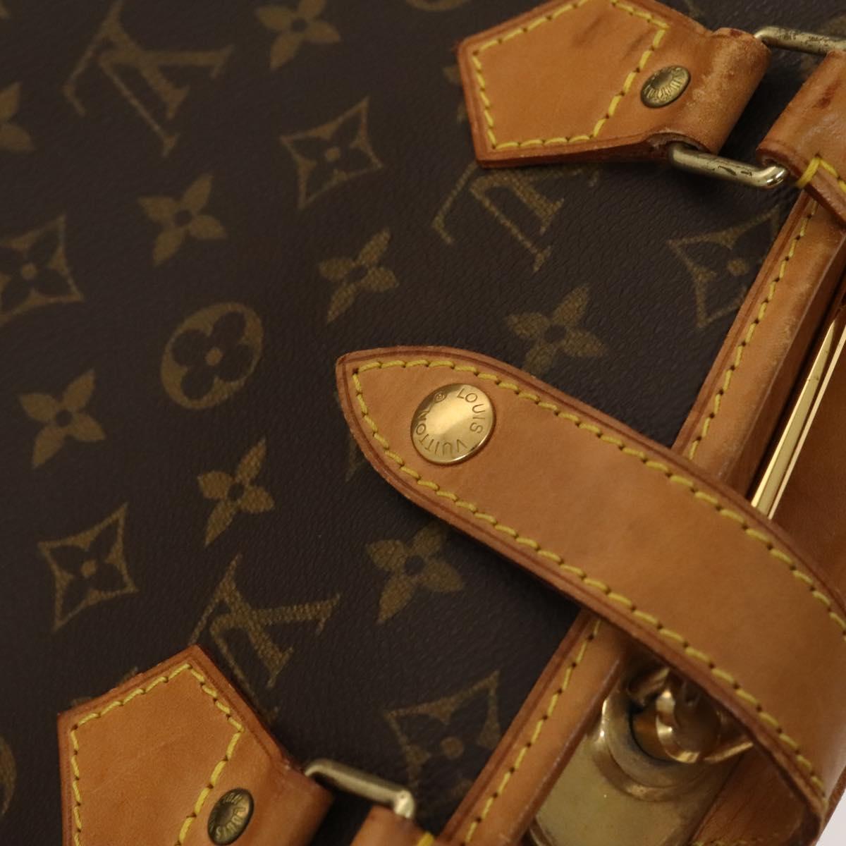 Louis Vuitton Garment, Brown, Canvas, travel