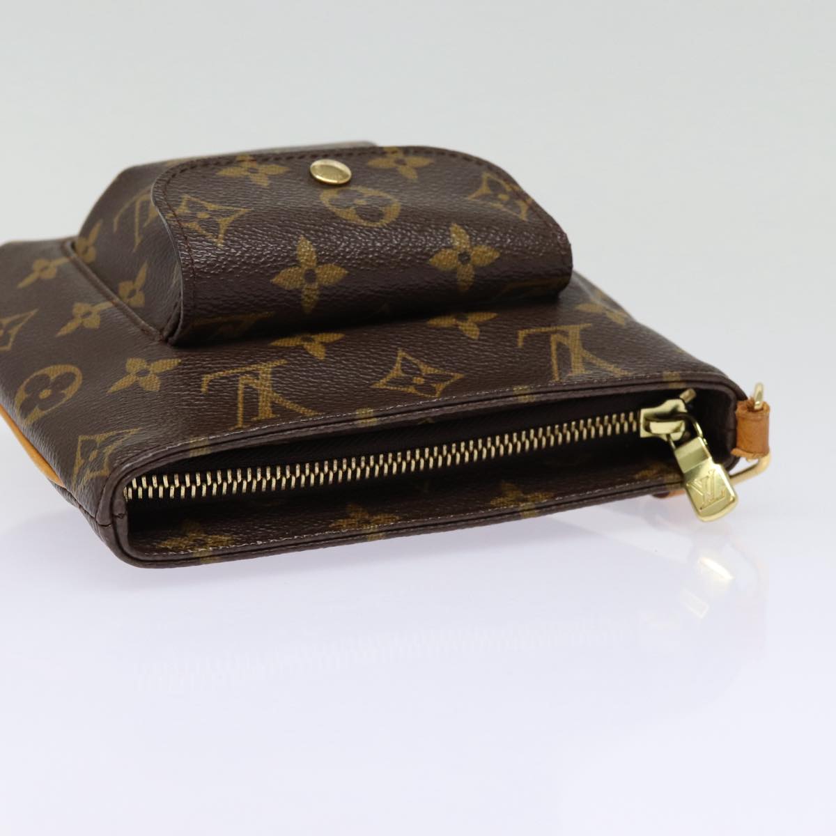 Louis Vuitton Partition, Brown, Canvas, clutch