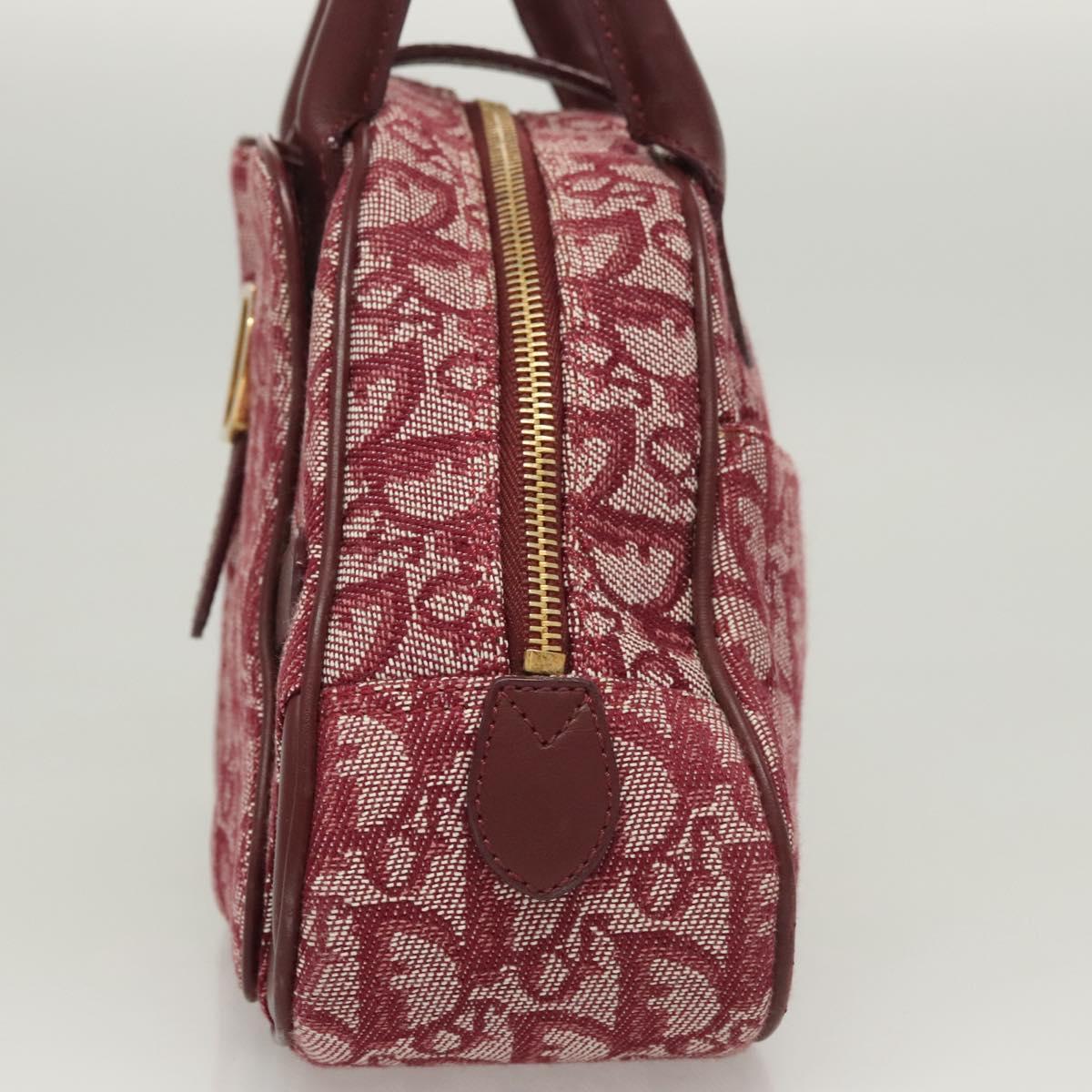 Dior Double Saddle, Red, Canvas, handbag