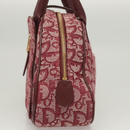 Dior Double Saddle, Red, Canvas, handbag