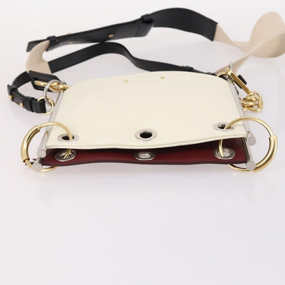 Chloe Roy Leather, Burgundy, Leather, Handbag