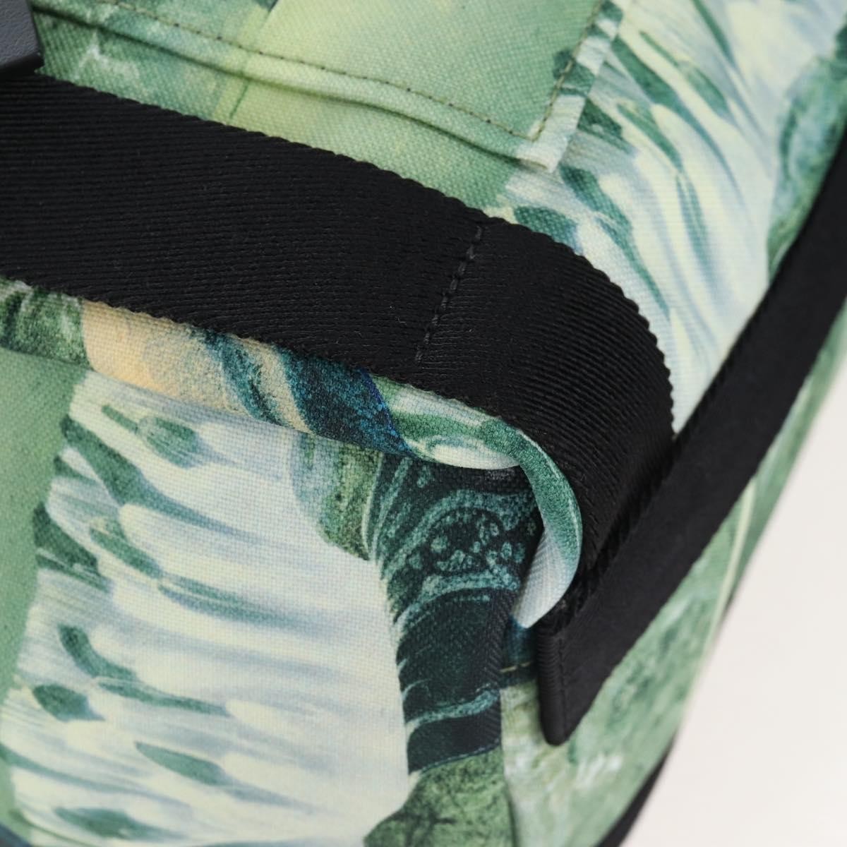 Valentino Garavani x Roger Dean Dragon Printed Nylon, Green, Nylon, Backpack