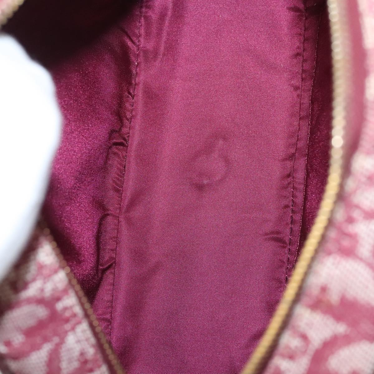 Dior Double Saddle, Red, Canvas, handbag