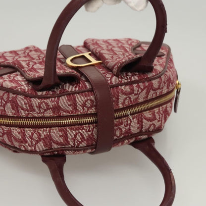 Dior Double Saddle, Red, Canvas, handbag