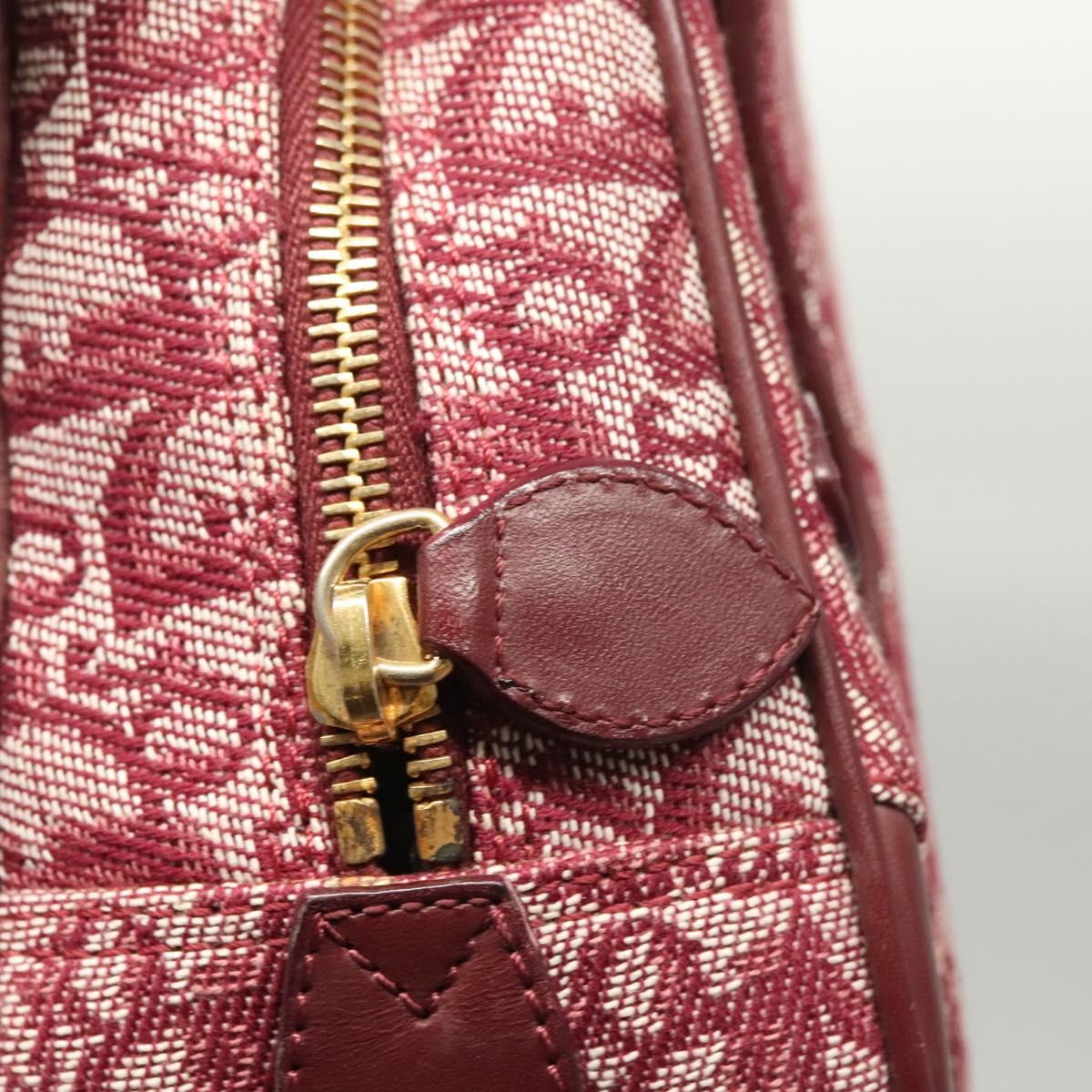 Dior Double Saddle, Red, Canvas, handbag