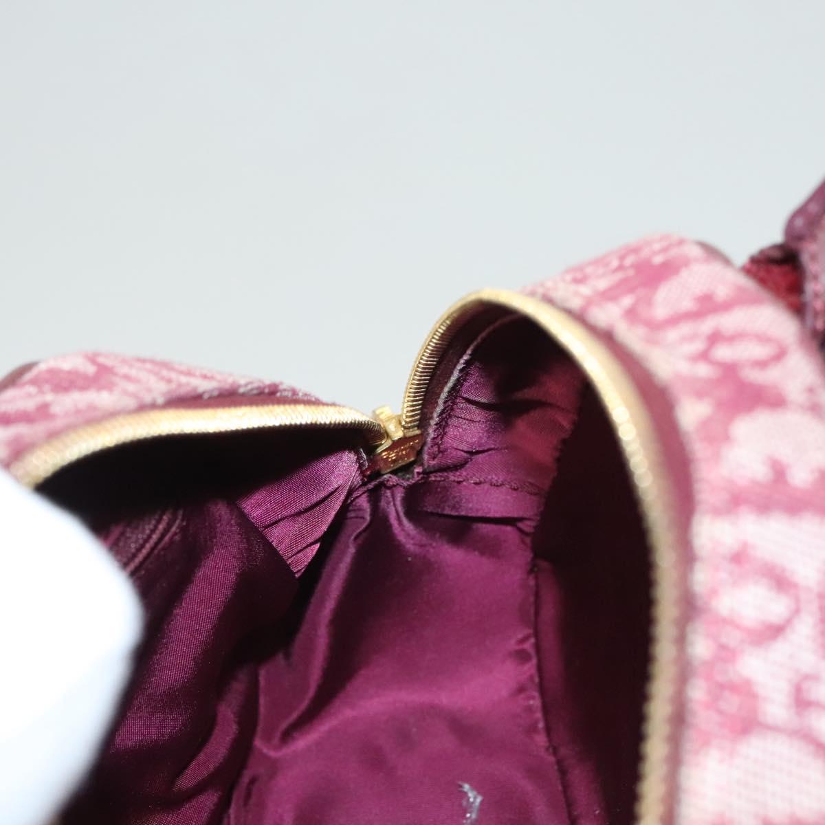 Dior Double Saddle, Red, Canvas, handbag