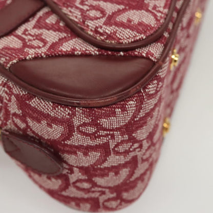 Dior Double Saddle, Red, Canvas, handbag