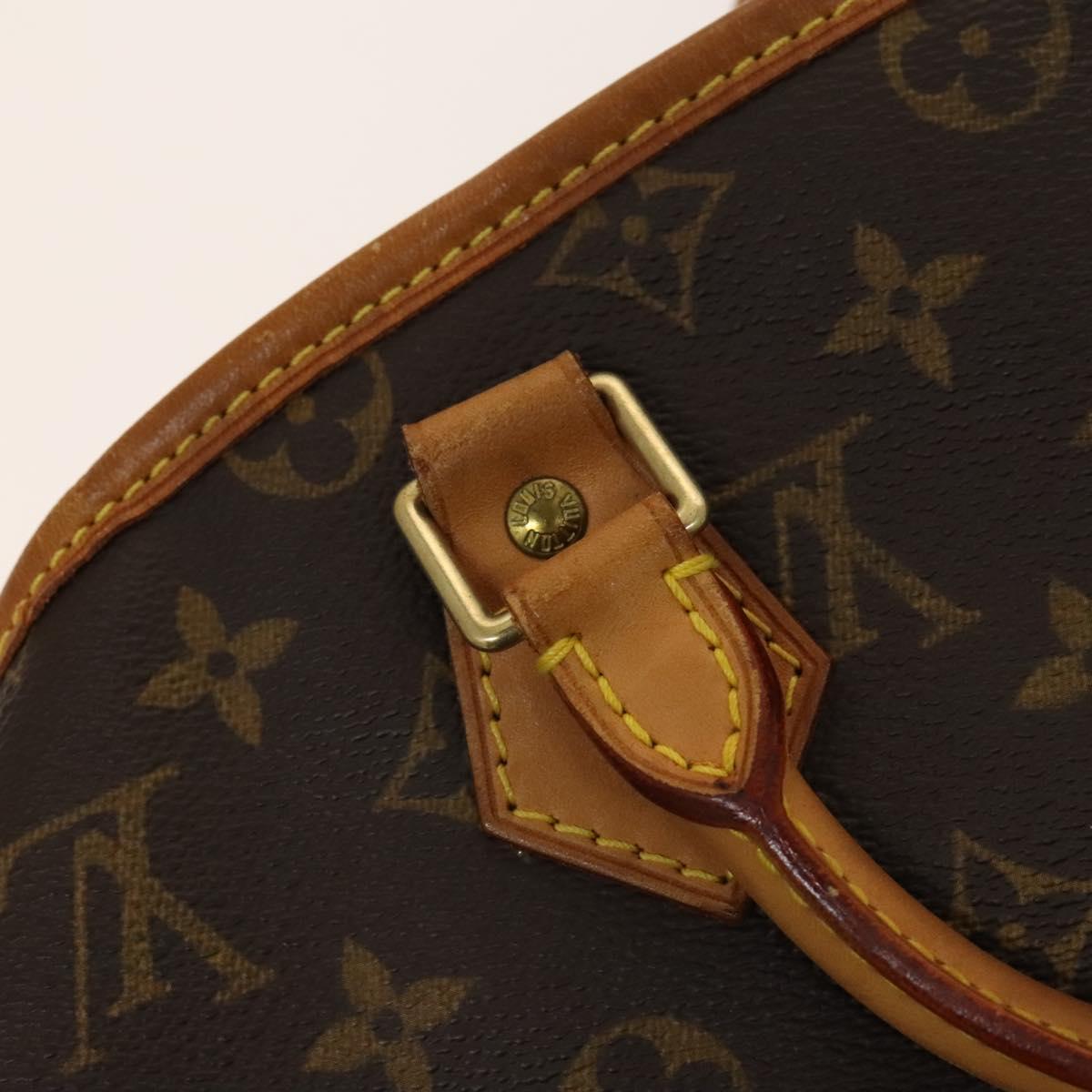 Louis Vuitton Garment, Brown, Canvas, travel