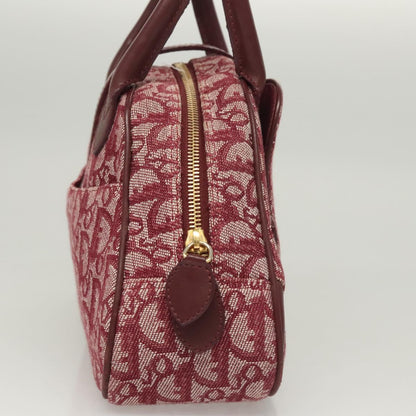 Dior Double Saddle, Red, Canvas, handbag