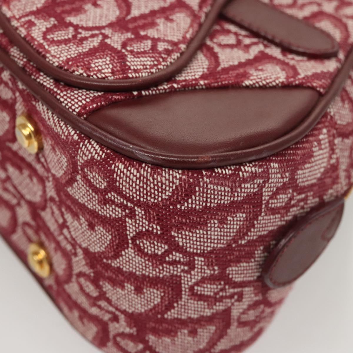 Dior Double Saddle, Red, Canvas, handbag
