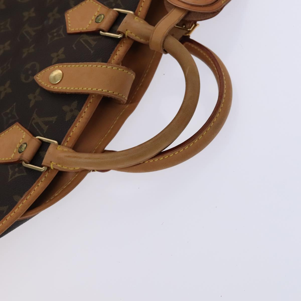 Louis Vuitton Garment case, Brown, Canvas, travel