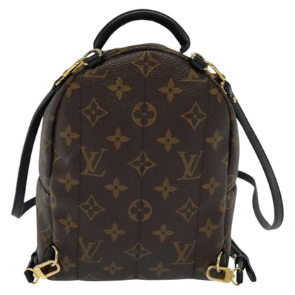 Louis Vuitton Palm Springs mini, Brown, Canvas, backpack