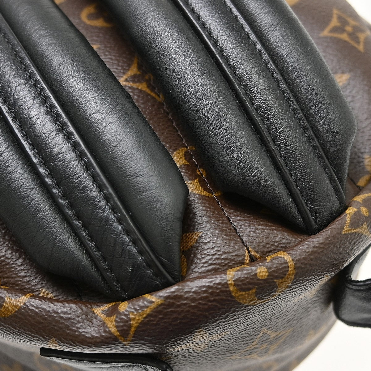 Louis Vuitton Palm Springs Monogram, Brown, Canvas, Backpack