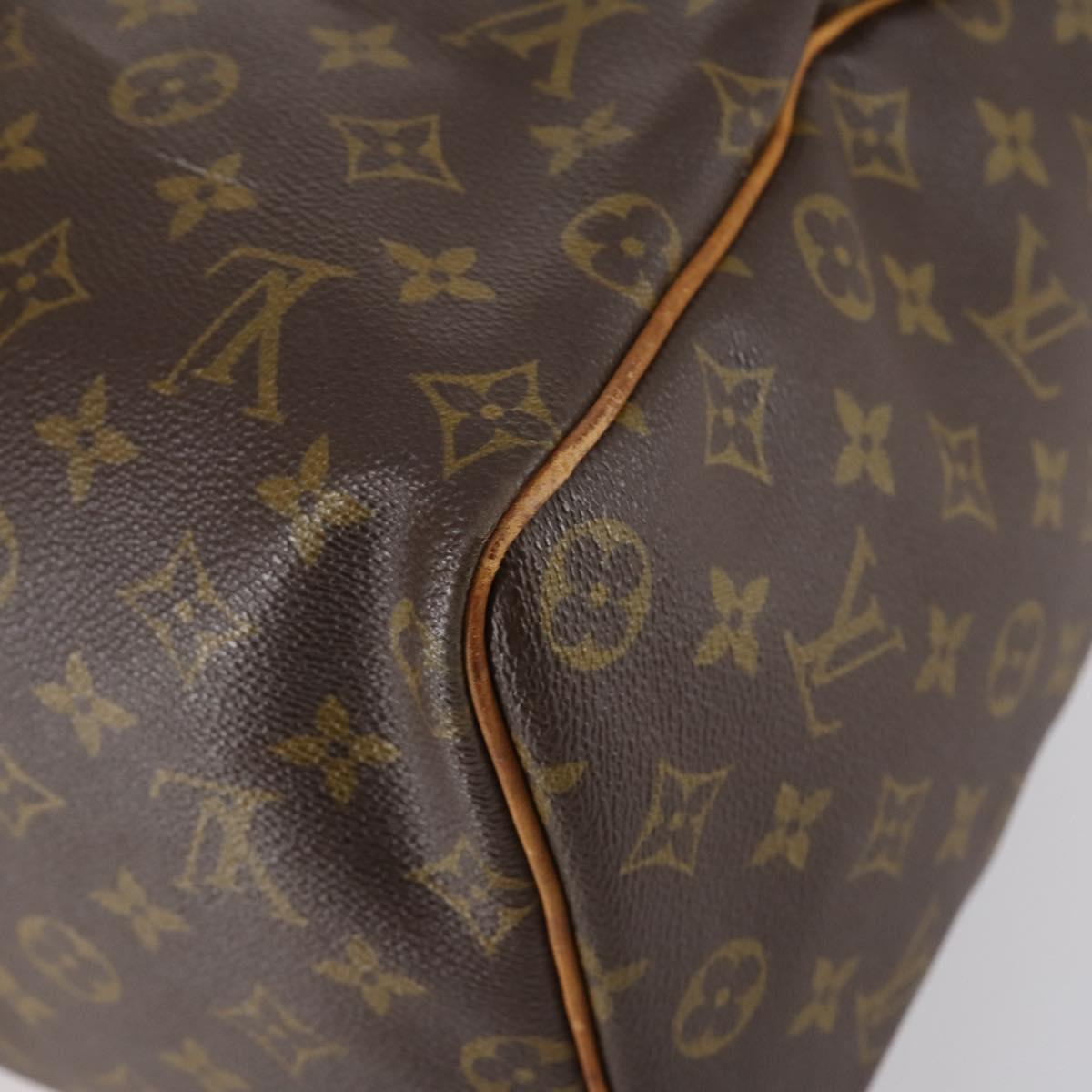 Louis Vuitton Speedy Mini HL Handbag Monogram Canvas, BROWN, CANVAS, Handbag