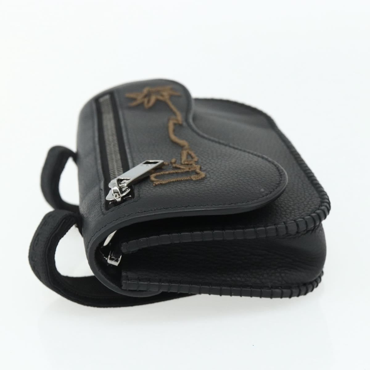 Christian Dior Saddle Pouch Belt Leather, Black, Leather, Clutch