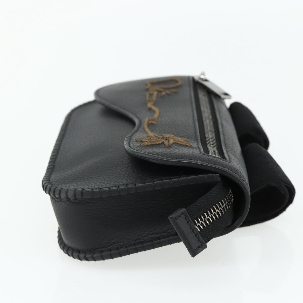 Christian Dior Saddle Pouch Belt Leather, Black, Leather, Clutch