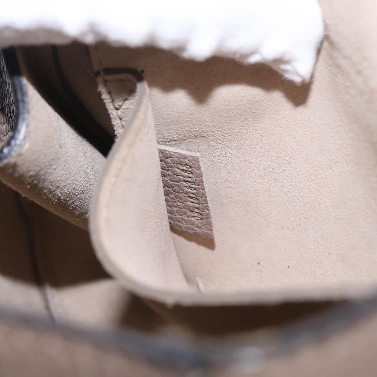 Chloe Drew Leather, Beige, Leather, Crossbody Bag