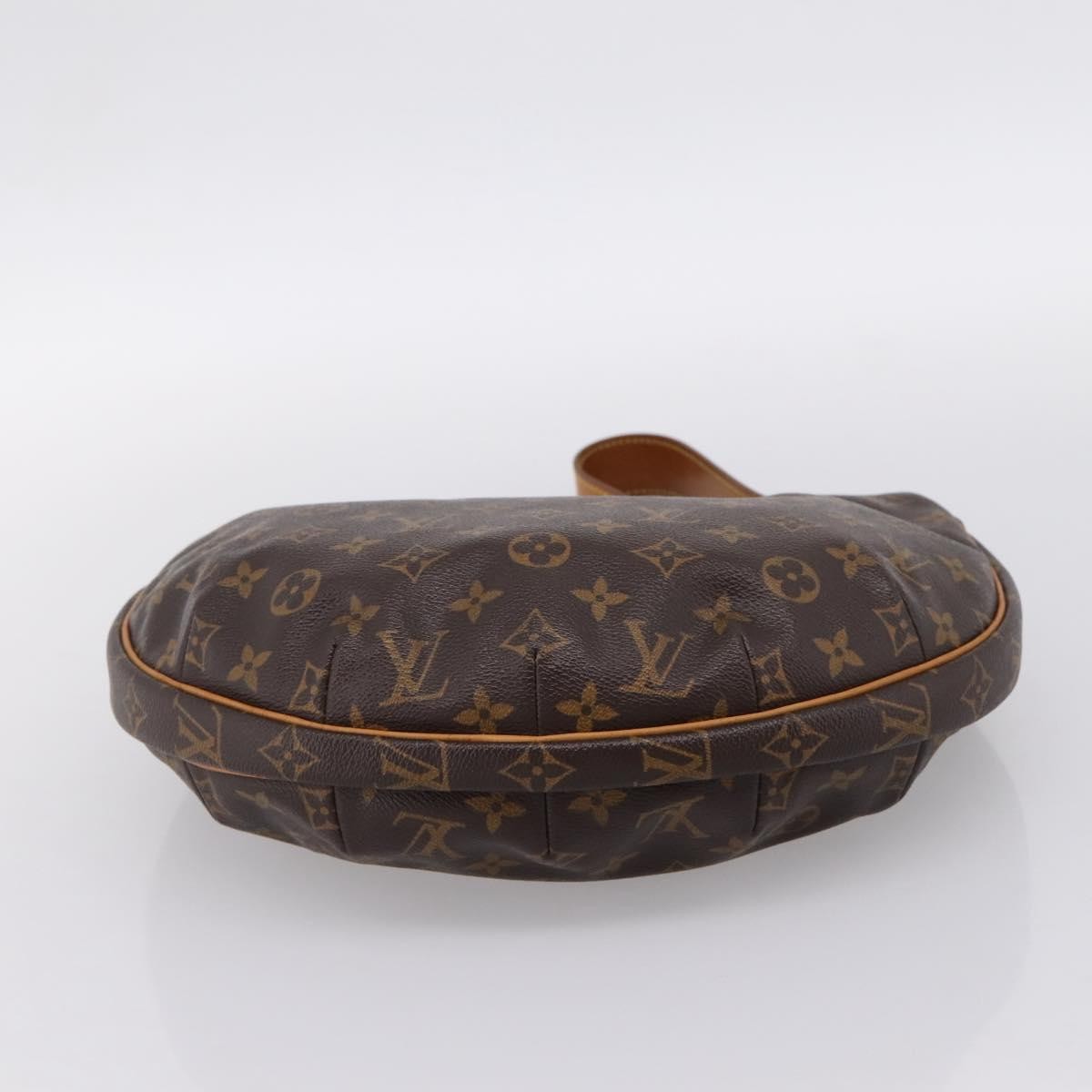 Louis Vuitton Croissant Monogram Canvas, Brown, Canvas, Handbag
